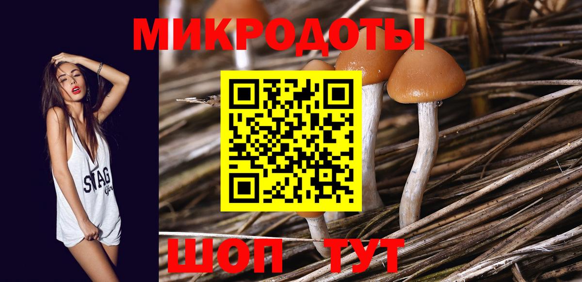 Псилоцибиновые грибы MAGIC MUSHROOMS Троицк